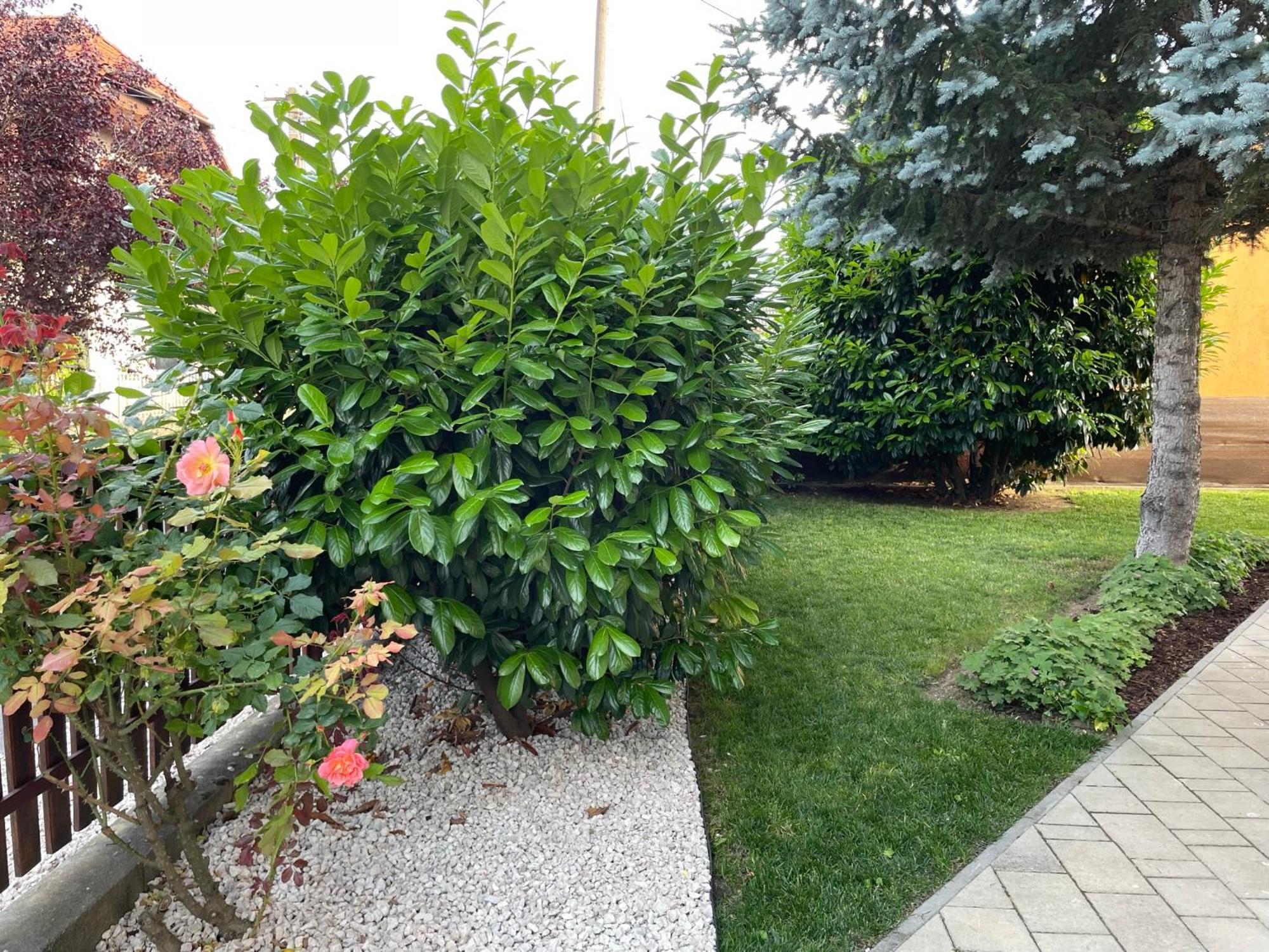 Villa Lili Apartments Balatonkeresztúr Exterior foto